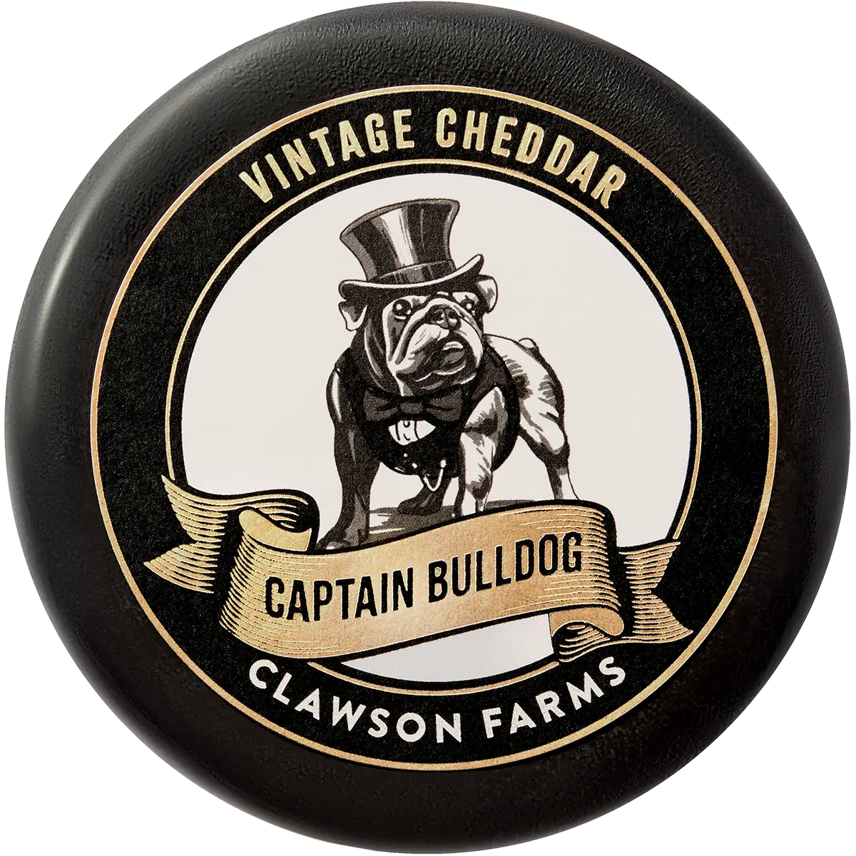 Captain Bulldog front